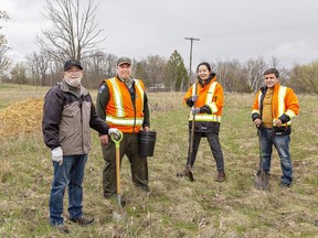 Chuck Beach (left), chair of the Brant Tree Coalition is joined by Dan Walsh, assistant superintendent at Brant Park Conservation Area, and City of Brantford Forestry Department employees Hailey Kim and Rashid Asimov on Monday April 17, 2023 as they look over the area where trees will be planted Sunday, April 23, 2023. Brian Thompson/Brantford Expositor/Postmedia Network