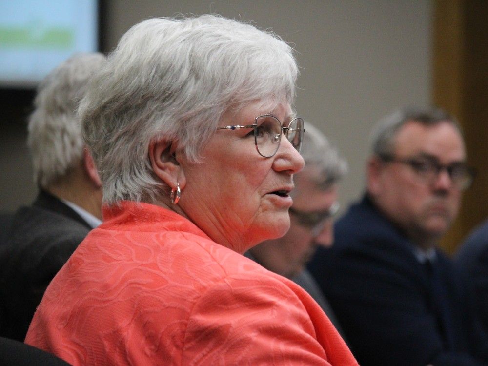 Cornwall council endorses climate action plan Cornwall Standard