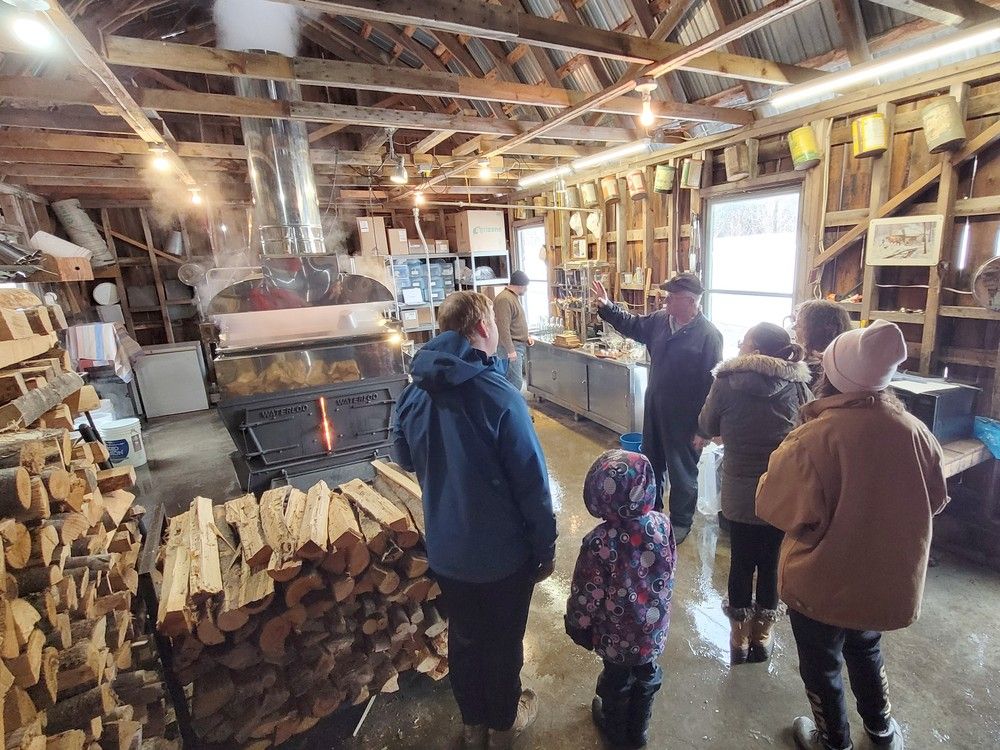 Ontario's Maple Weekend returns to Mapleside Sugar Bush near Rankin ...