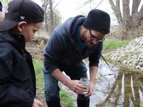 Teacher Matthew Coqu hands a jar with a young school-raised salmon to Errol Village elementary school pupil Parker Dale, 5, left, to release into a creek running to Lake Huron.  (Paul Morden/The Observer)