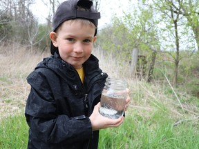 Parker Dale, 5, a junior kindergarten pupil at Errol Village public school in Plympton-Wyoming, holds a jar with one of several young salmon raised at the school over several months and released this week into a creek running to Lake Huron.  (Paul Morden/The Sarnia Observer)