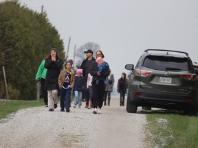 Families from Plympton-Wyoming Errol Village elementary school walk along O'Brien Road to release salmon raised at the school into a creek running to Lake Huron.  (Paul Morden/The Observer)