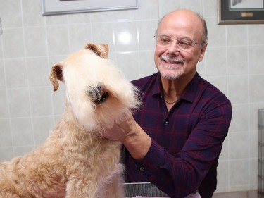 Show chair Richard Paquette and his dog Kayla, a Lakeland terrier, will be at the Nickel District Kennel Club's championship dog shows at the Toe Blake Memorial Arena in Coniston, Ont. The event runs from April 7 to April 9, from 9 a.m. to 4 p.m. each day. Kayla is one of more than 200 purebred dogs from across Canada competing at the three-day show. Spectators are welcome. Admission is $5 for adults, $2 for children, $10 for families and seniors over 55 are free. A release issued by the club said, "Spectators will have an opportunity to mingle with the exhibitors, dog breeders and dogs while enjoying a great learning experience into the world of purebred dogs and dogs in general." John Lappa/Sudbury Star/Postmedia Network