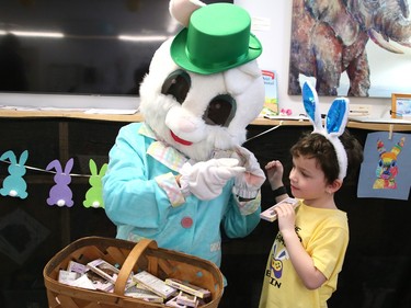 Brandon Johnson, 5, of Churchill Public School, visits with the Easter Bunny at the school in Sudbury, Ont. on Thursday April 6, 2023. The Easter Bunny and Ward 11 Councillor Bill Leduc visited a number of schools and senior residences, including Churchill, Pius XII Catholic Elementary School, Ecole St-Pierre, Westmount Retirement Residence, Extendicare Falconbridge and Finlandia Village. About 750 Easter treats were handed out to students and seniors on Thursday. The visits were made possible thanks to the Minnow Lake Community Action Network and Leduc. The Easter Bunny will visit Birkdale Village and Carmichael townhouses Saturday. John Lappa/Sudbury Star/Postmedia Network