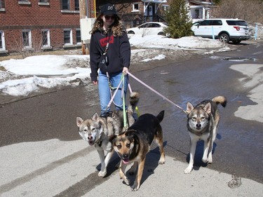 Monica Villa takes her rescue dogs, Sully, Edie and Nori for a walk in Sudbury, Ont. on Wednesday April 12, 2023. John Lappa/Sudbury Star/Postmedia Network