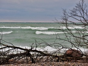 Persistent rains in recent days and forecast for the remainder of the week are not expected to lead to Lake Ontario shoreline flooding experienced by property owners in 2017 and 2019 in Quinte, say water-level regulators. POSTMEDIA