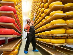 Chef Nick Benninger, host of Stratford production company Ballinran Entertainment's recently released web series, Farm to Fork, is seen here at Mountain Oak Cheese in New Hamburg, one of six Waterloo Region farms the show visits. (Submitted photo)