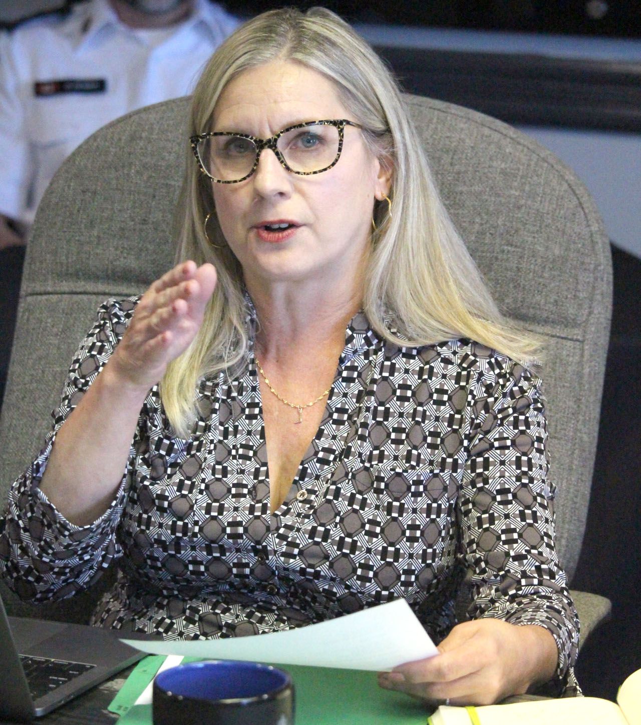 City councillor Lisa VezeauAllen resigns from police board Sault Star