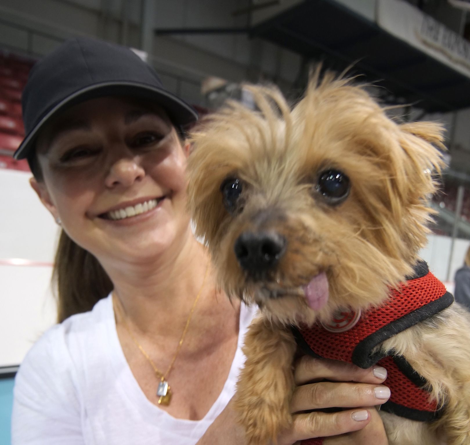 PetPalooza Brantford entertains families and their pets Tillsonburg News