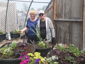 Ripley and District Horticultural Society members Sharon Billing, left, and Fran Bednarz work on the three-tiered planters at Smeltzer’s Garden Centre on May 23. Photo by Christine Roberts
