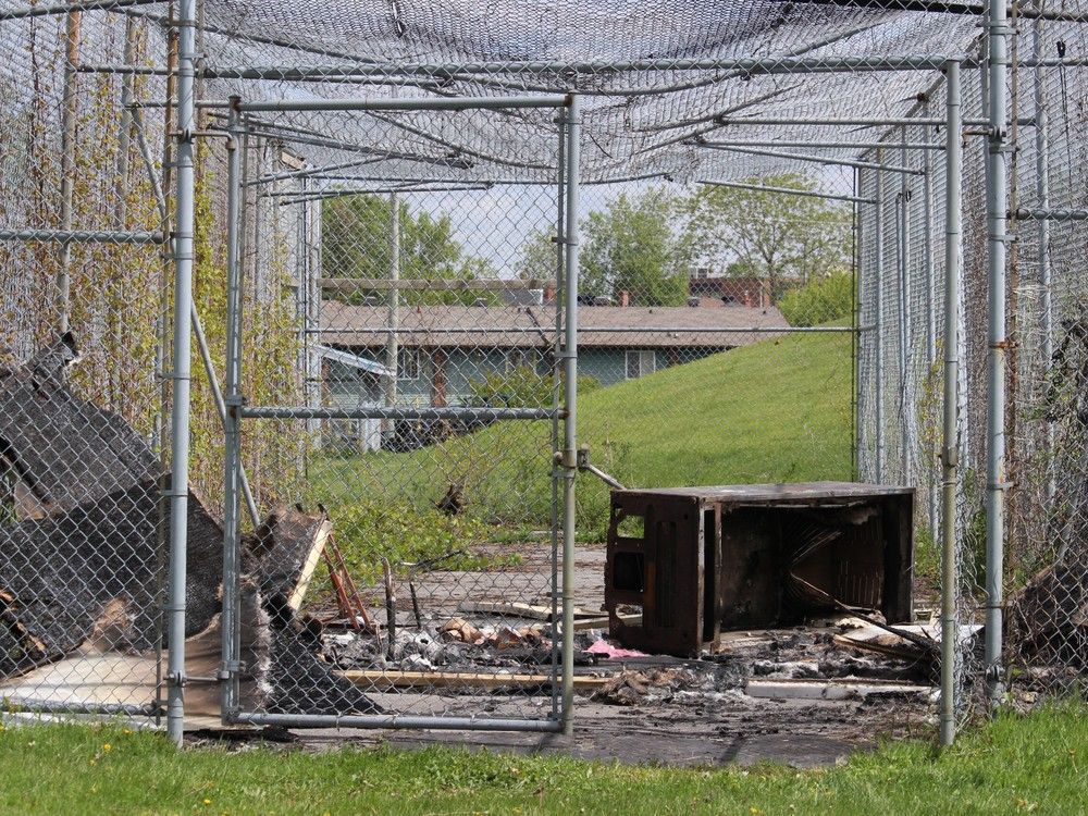 The Baseball Shed