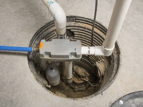 A basement sump pump