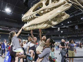 Visitors to the 2023 Science Rendezvous Kingston event got up close with a replica skeleton of a Saurophaganax, the largest terrestrial carnivore in North America during the late Jurassic period. Pictured from left: Leslie, Jody and Kelly Louie holding their children Millie Nabus, Mika Chen and Isla Zhu. The life-size dinosaur skeleton was the centrepiece for 50 different booths featuring interactive demonstrations and displays in science, technology, engineering and math, and more at the Leon's Centre in Kinston on Saturday, May 13, 2023.
