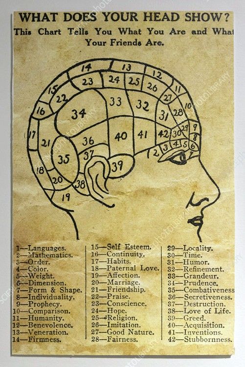 Having your head read in Huron: The ‘science’ of phrenology