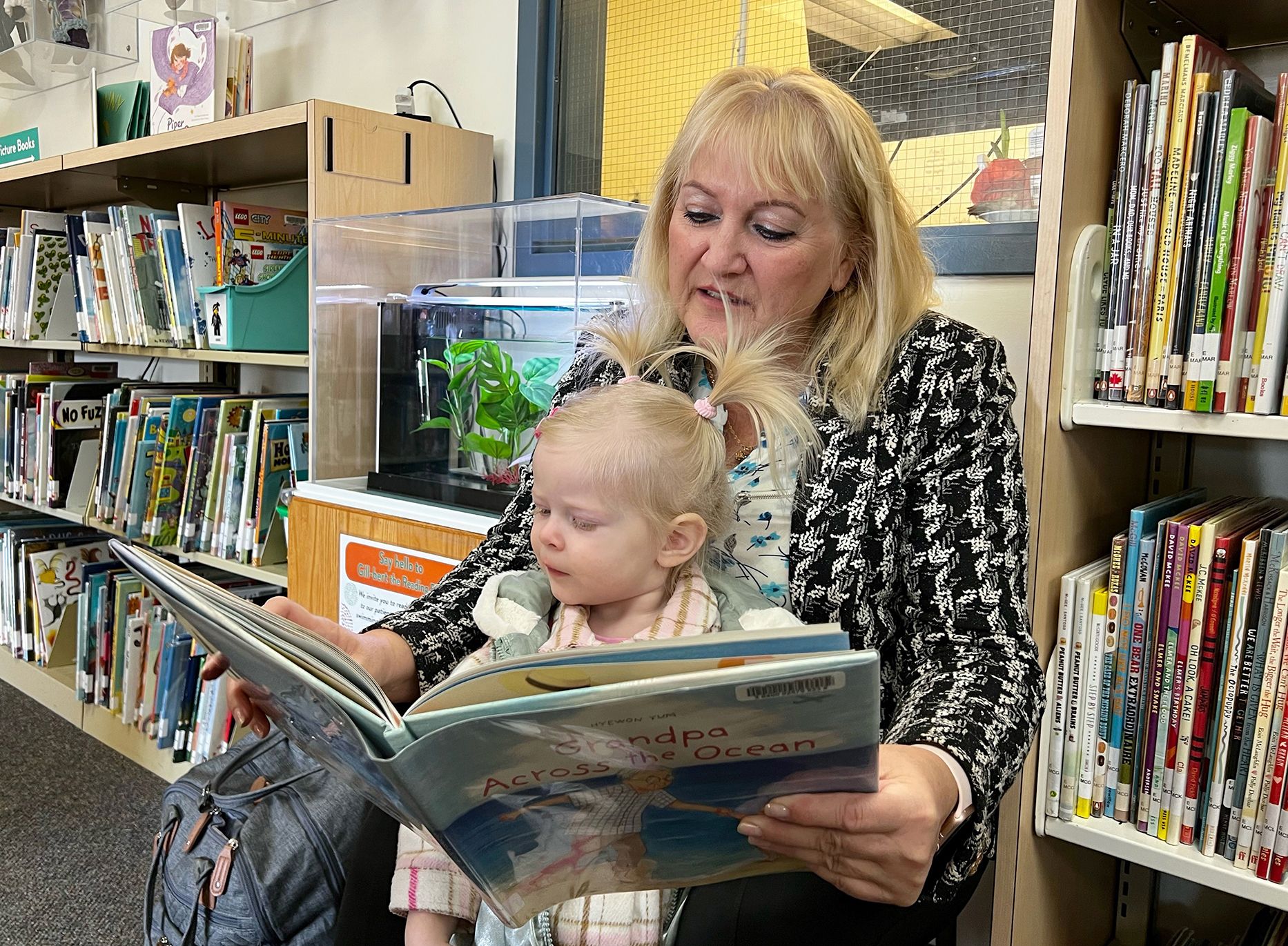 Airdrie Public Library - The Emotional Library | Airdrie Echo