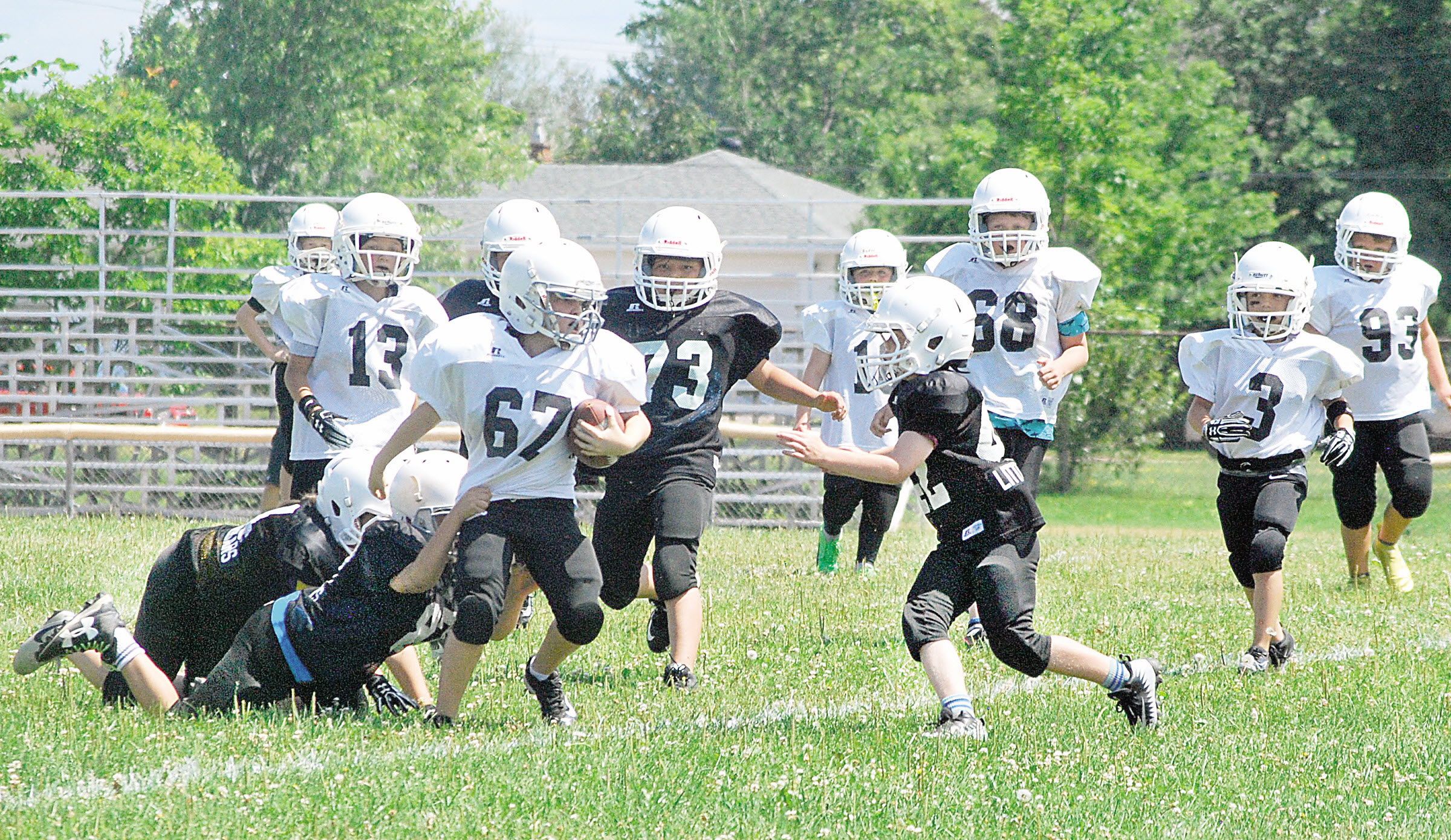 Participation increase for Sault Minor Football League