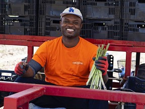 Asaragus season is off to a strong start. Dwayne Salmon, of M&J Chromczak Farms, near Tillsonburg, operates a harvester and holds some freshly-picked asparagus. CONTRIBUTED PHOTO