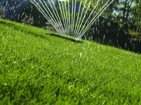 Watering restrictions