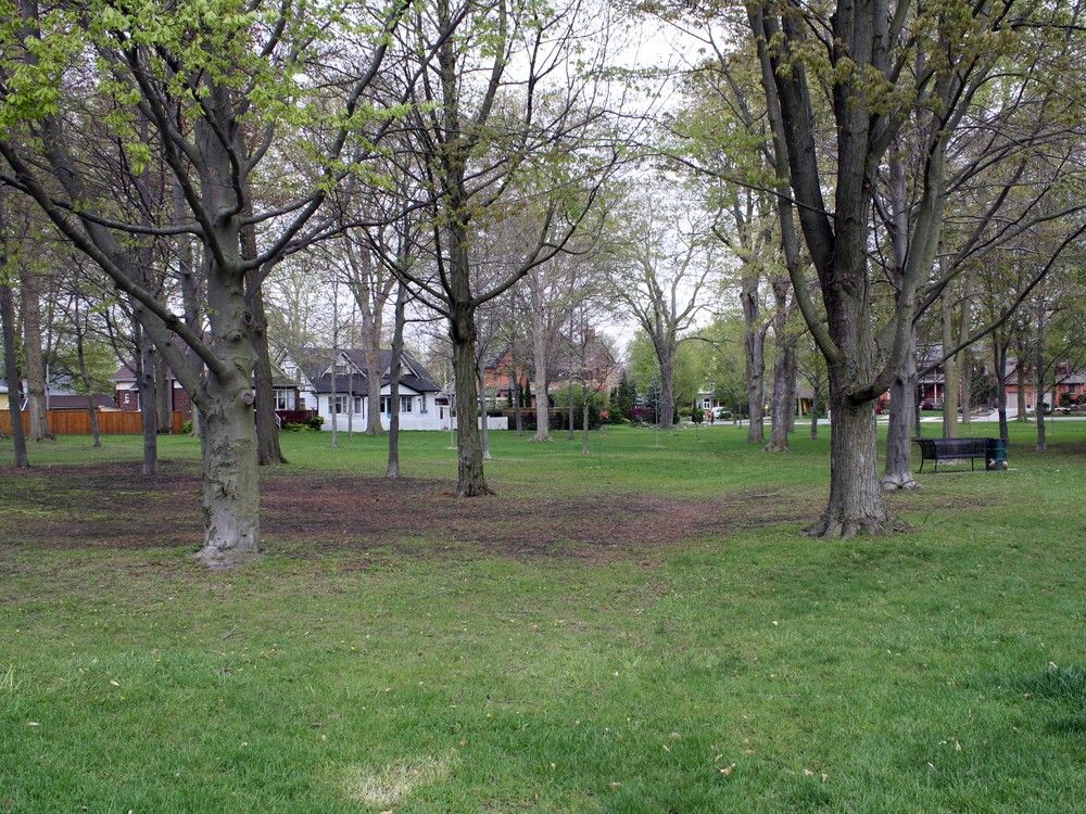 Park dedication set to celebrate legacy of Woodstock artist Florence Carlyle - Vimarsana News