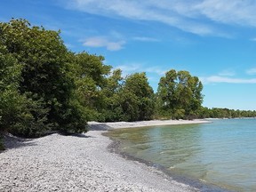 New conservation reserve, Prince Edward County, Monarch Point