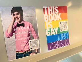 Electronic versions of Beyond Magenta and This Book is Gay, books that touch on issues of sexual identity and gender identity, are seen on the shelf at a Winnipeg library. Talk of banning books is once again making headlines in Manitoba, after a delegation at a Prairie Rose School Division meeting asked that the division remove some books from school shelves that touch on issues of sexuality and gender and sexual identity. Dave Baxter/Winnipeg Sun/Local Journalism Initiative