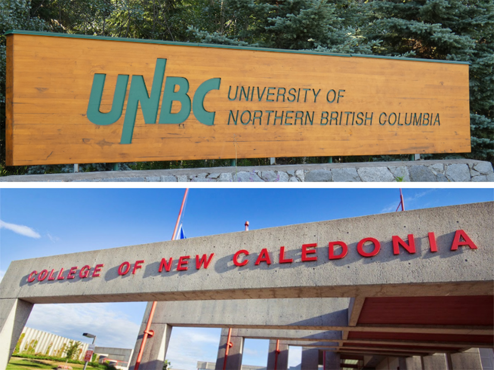 UNBC, CNC To Benefit From New Provincial Co-op, Internship Funding ...