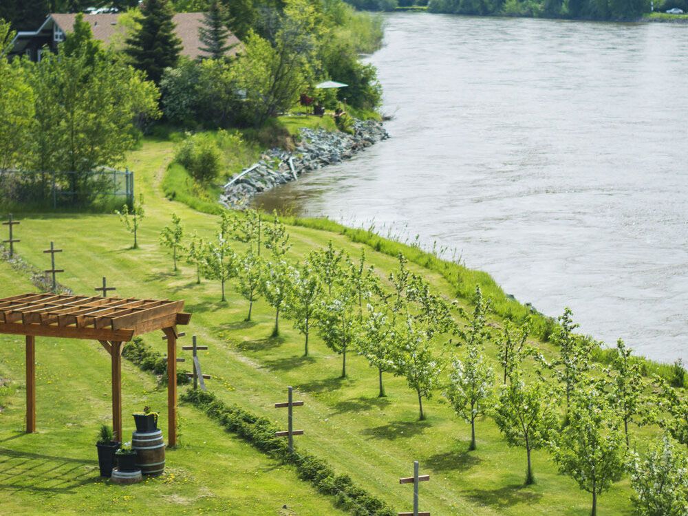 Northern Lights' fruit wines win 4 prizes at Sommelier's Choice Awards