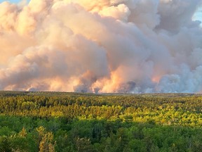 wildfire