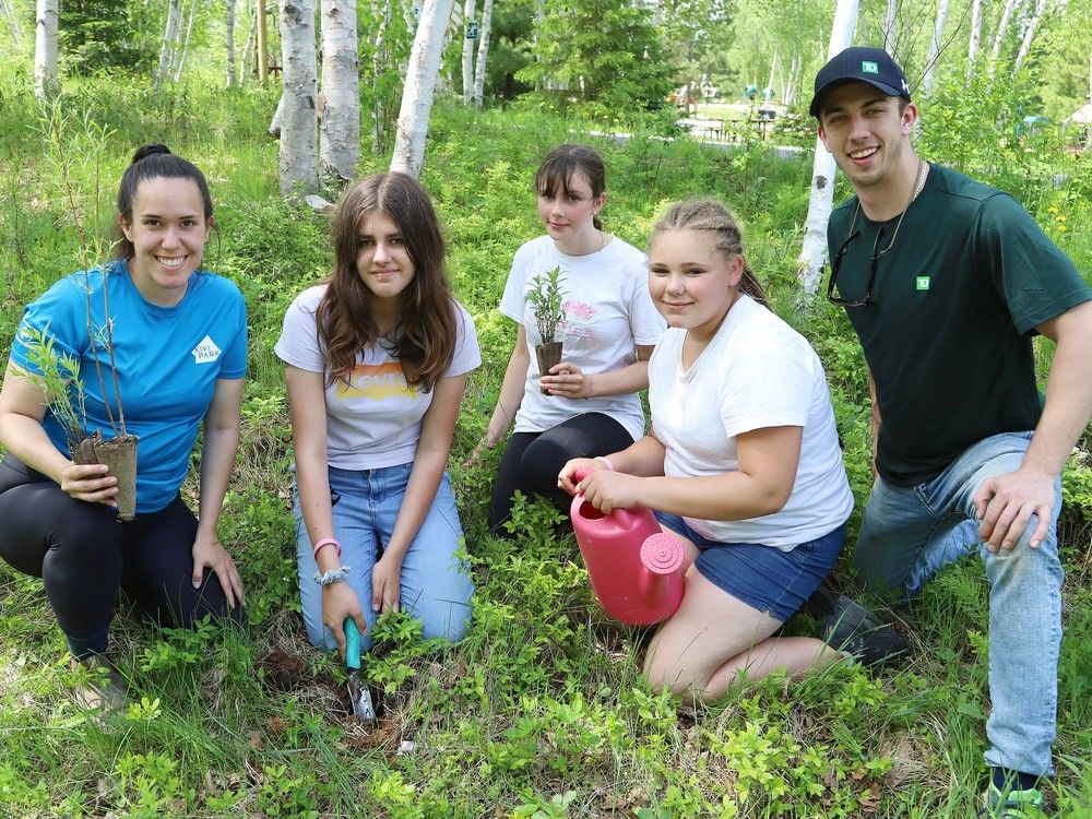 Kivi Park Artisan Walk in Sudbury goes this weekend - Vimarsana News