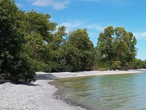 Monarch Point Conservation Reserve, unveiled, Prince Edward County