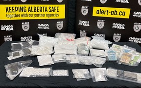 ALERT bust