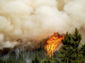 Flames from the Donnie Creek wildfire burn along a ridge top north of Fort St. John, B.C.