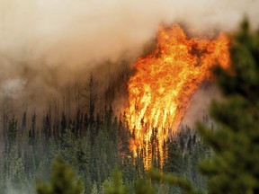 Flames from the Donnie Creek wildfire burn along a ridge top north of Fort St. John, B.C., Sunday, July 2, 2023.