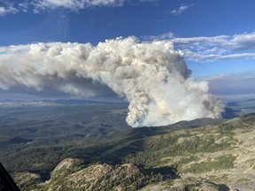 The Young Creek wildfire is seen from the air in an undated handout photo.