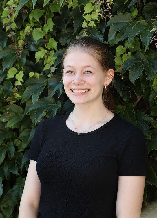 Refresh your art supplies and promote sustainability with the QAC