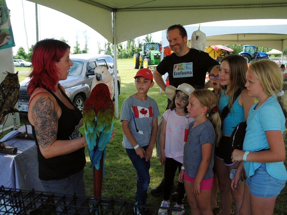 Thousands visit the 2023 Avonmore Fair Cornwall StandardFreeholder