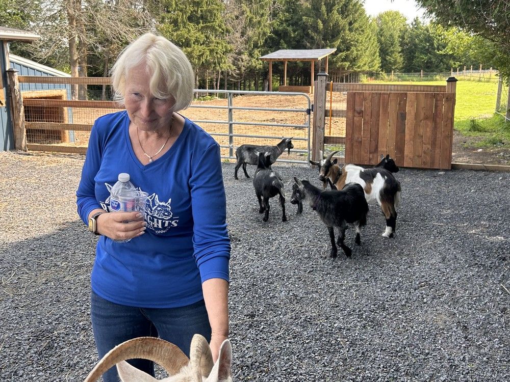 Opening up the farm experience in South Glengarry Cornwall Standard