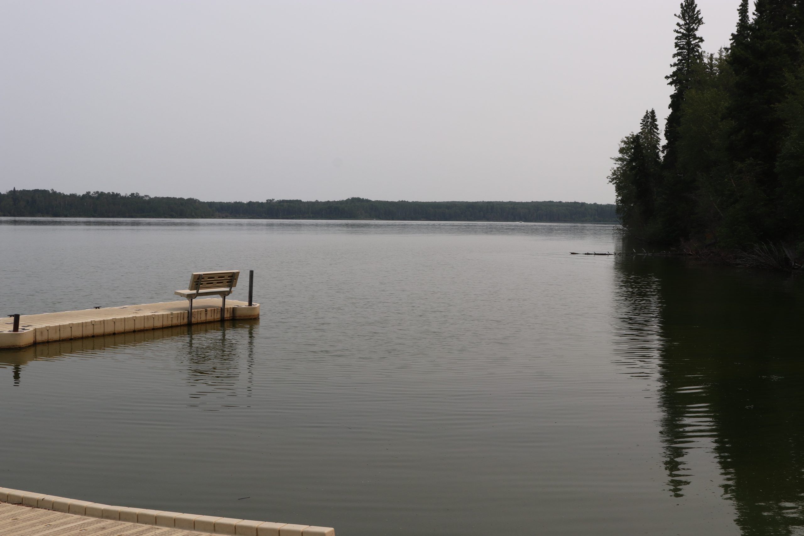 Alberta Health Services advises of bluegreen algae in Goose Lake