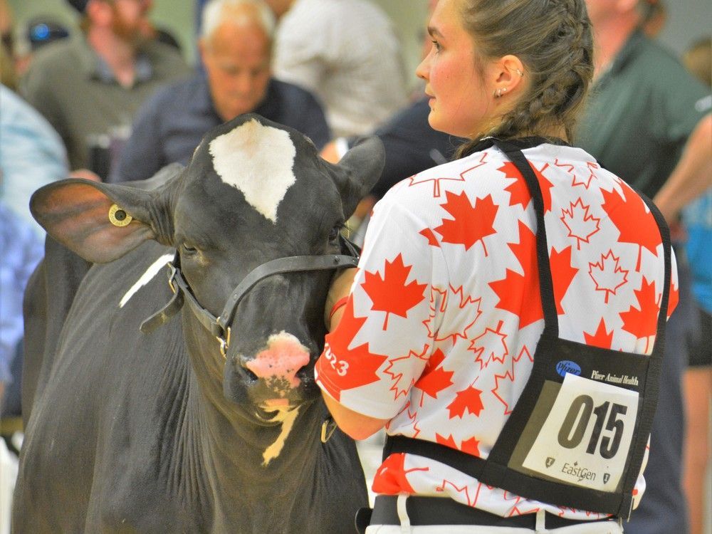 Dairy club competes in EastGen 4H Challenge Lucknow Sentinel