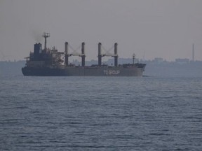 last grain ship Ukraine