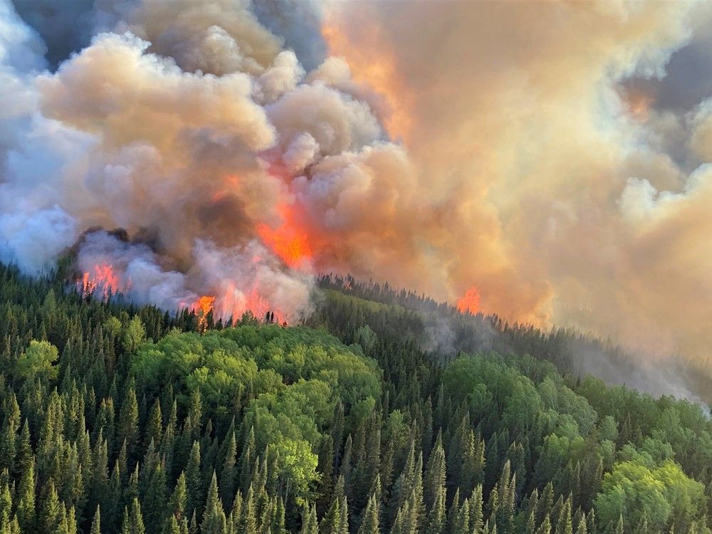 Almaguin Climate Action group says climate crisis behind forest fires