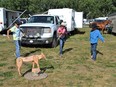 Nanton Ranch Rodeo