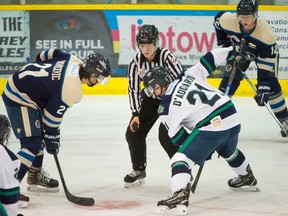 Lines person Colleen Geddes drops the puck during a 2021 BCHL Junior A game between the Langley Rivermen and the Surrey Eagles at South Surrey Arena.
