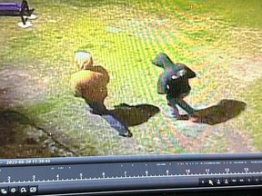 Edson RCMP are seeking two suspects in the vandalism of a mural at a local spray park.