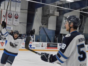 The Saugeen Shores Winterhawks top the Ripley Wolves 4-1 on March 12, 2023 to stay alive in the WOAA senior "AA" semifinals.