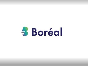 College Boreal logo