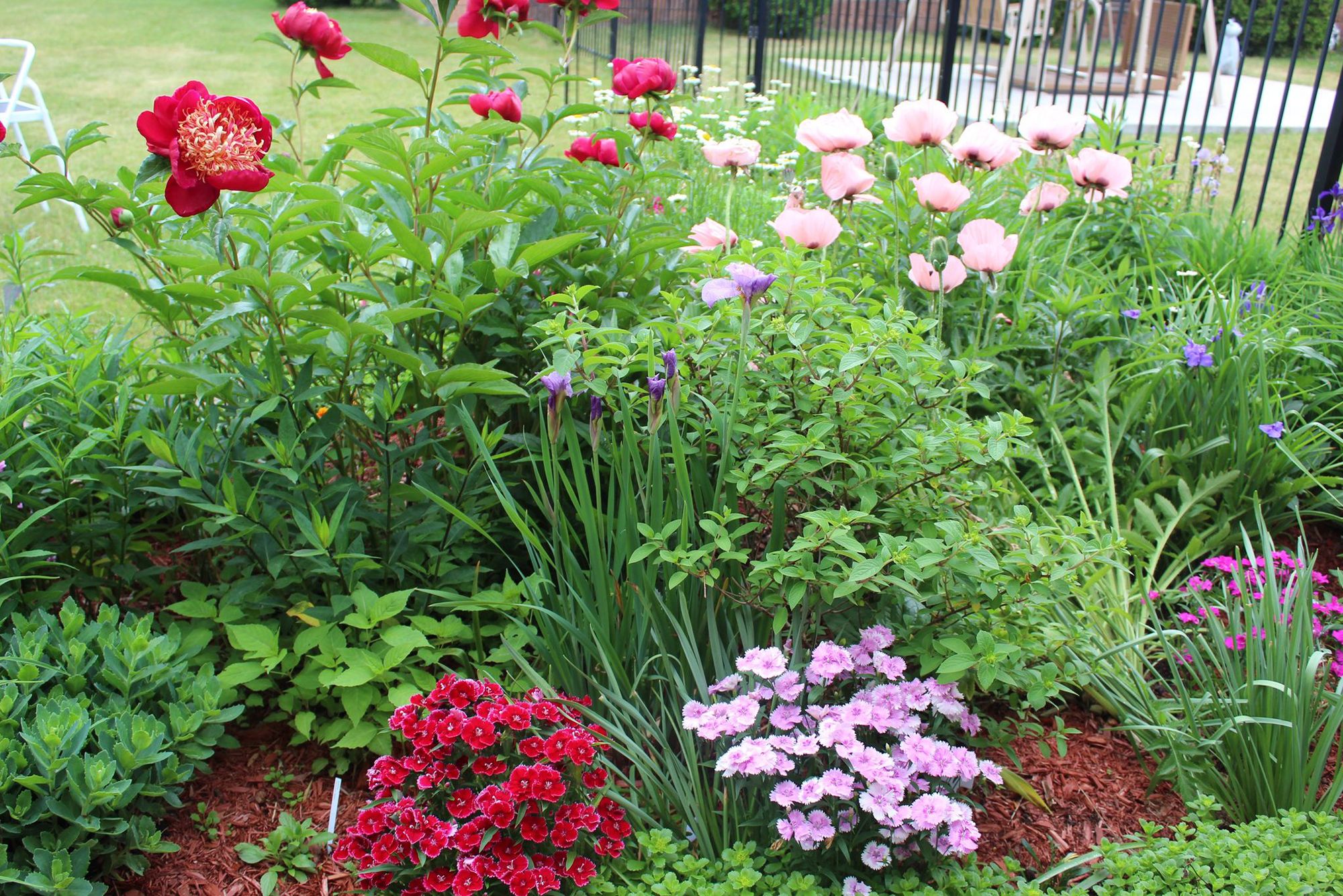 Gardeners know, flowers bring people together | Belleville Intelligencer