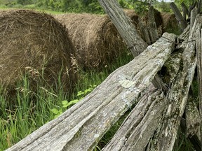 Round hay bales moved to fence line. Grace Vanderzande