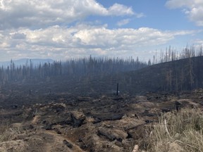 The area around the Bush Creek East blaze, northeast of Kamloops on the west side of Adams Lake, is shown in a handout photo.