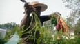 akos asare deep river micro-urban farm